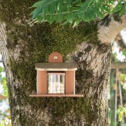 Decorative Squirrel Feeder - thumbnail 3