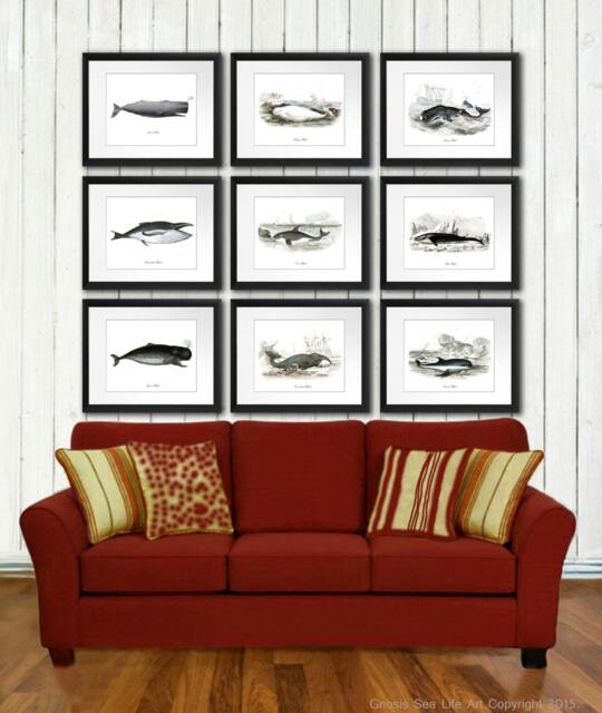 Nautical Art Print Whale Set Of 9 - Posters Whaling Wall Hangings Art, Bathroom Boy Room Decor - image 1