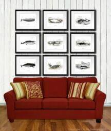 Nautical Art Print Whale Set Of 9 - Posters Whaling Wall Hangings Art, Bathroom Boy Room Decor - thumbnail 1