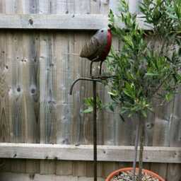 Robin On Stick Large Metal Garden Ornament - Outdoor British Bird Decor Gift - thumbnail 3