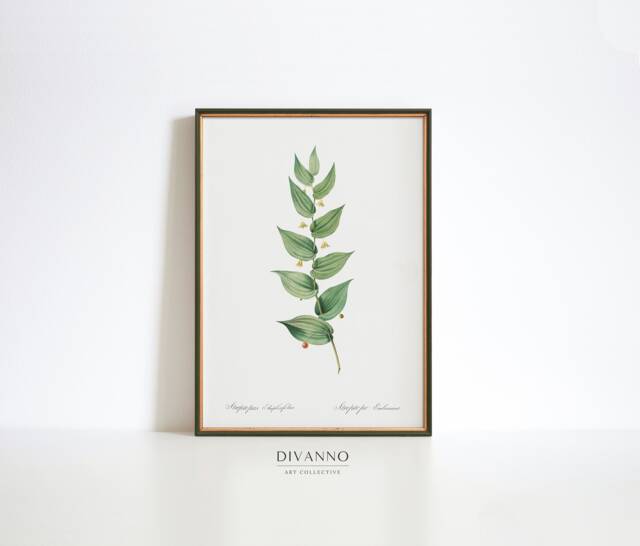 Antique Twistedstalk Lily Print, Pierre-Joseph Redout?? Botanical Art - image 1