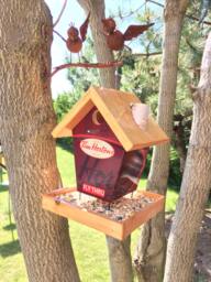 Coffee Lovers Fly Thru Feeder - Stained Roof
