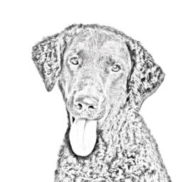 Curly Coated Retriever - Wooden Stand For Candles/Pens With The Image Of A Dog New Collection - thumbnail 2