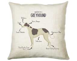 Anatomy Of A Greyhound Funny Gift For Him Or Her Cushion Pillow Bedroom Decor Cs376 - thumbnail 1