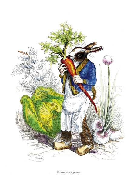 Rabbit Eating A Carrot Vegetable Garden Art Print Nursery Decor - image 1