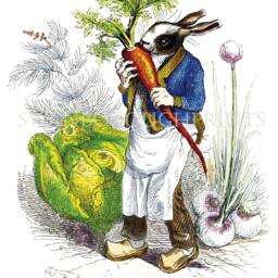 Rabbit Eating A Carrot Vegetable Garden Art Print Nursery Decor - thumbnail 2