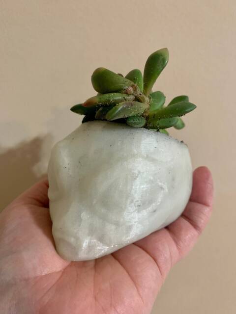 Glow in The Dark Space Alien Head Planter - Mini 3D Printed Succulent Pot Galaxy Spaceman Ufo Cactus