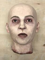 Realistic Silicone Male Head - thumbnail 1