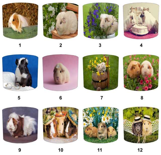 Guinea Pig Drum Lampshade For Ceiling Light Pendants Or Table Lamp Bases - image 1