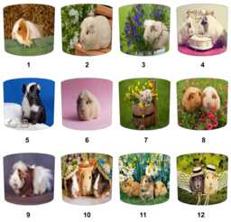 Guinea Pig Drum Lampshade For Ceiling Light Pendants Or Table Lamp Bases - thumbnail 1