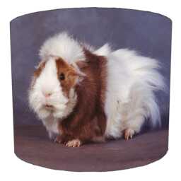 Guinea Pig Drum Lampshade For Ceiling Light Pendants Or Table Lamp Bases - thumbnail 4