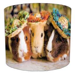 Guinea Pig Drum Lampshade For Ceiling Light Pendants Or Table Lamp Bases - thumbnail 2