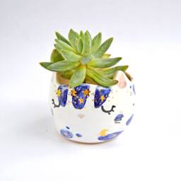 Cat Planter, Mini Succulent Kids Room Decor, Ceramic Housewarming Gift, Gift For Friend, Animal Planter - thumbnail 4