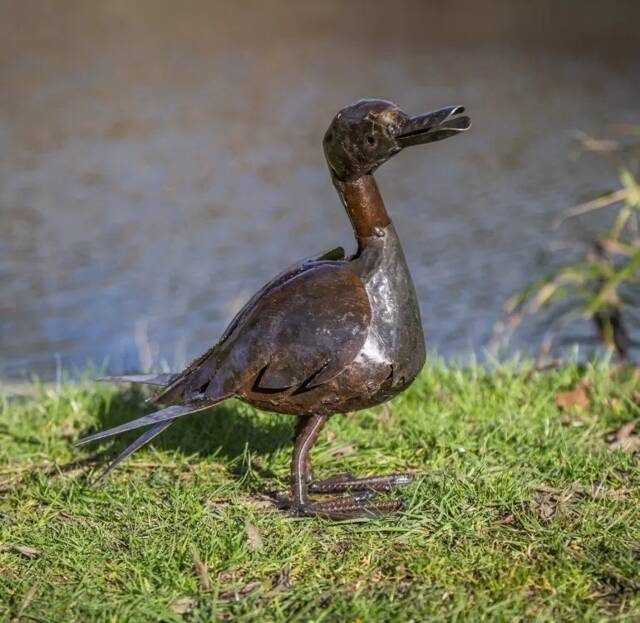 Hand Crafted Recycled Metal Ducks - Medium & Large Garden Sculptures. Duck Outdoor Statue - image 1