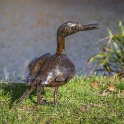Hand Crafted Recycled Metal Ducks - Medium & Large Garden Sculptures. Duck Outdoor Statue - thumbnail 2