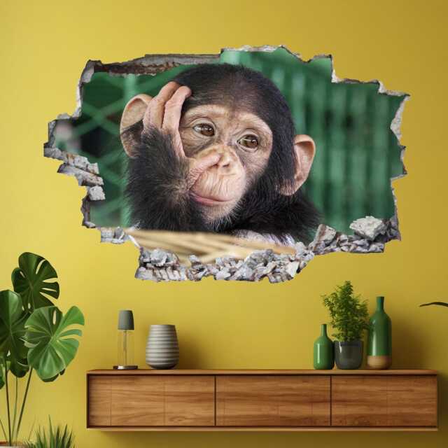 Chimpanzee Funny Face Animal Wall Decal Sticker Mural Poster Print Art Home Decor Ec40 - image 1