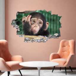 Chimpanzee Funny Face Animal Wall Decal Sticker Mural Poster Print Art Home Decor Ec40 - thumbnail 3
