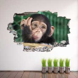 Chimpanzee Funny Face Animal Wall Decal Sticker Mural Poster Print Art Home Decor Ec40 - thumbnail 2
