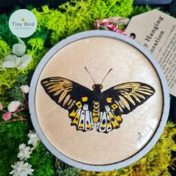 Handmade Butterfly Wall Art Rustic Concrete Frame, Signed Original - thumbnail 2
