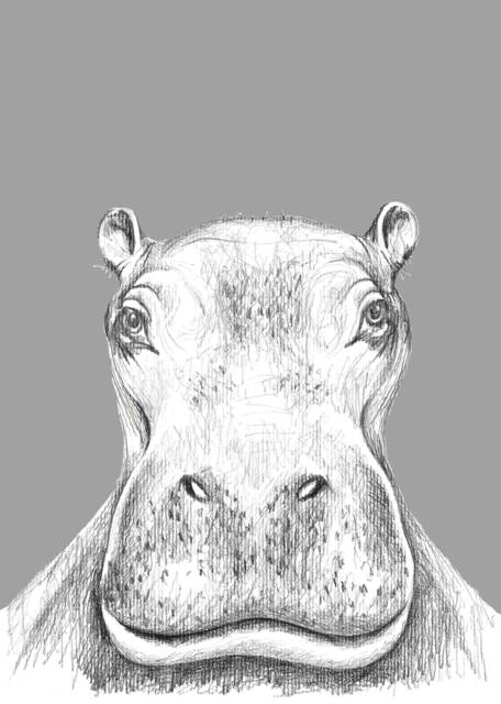 Hippo Illustration, Kids Animals Room Decor, Baby Print 21x30, Children Illustration - image 1