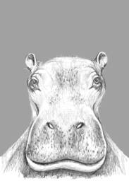 Hippo Illustration, Kids Animals Room Decor, Baby Print 21x30, Children Illustration - thumbnail 1