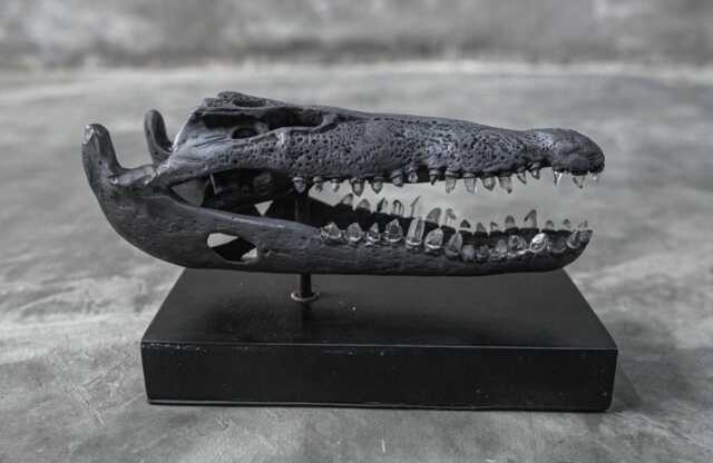 Bronze Metal Crocodile Skull With Quartz Crystal Teeth - Gothic Home Decor Art Piece Sculpture - image 1