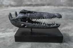 Bronze Metal Crocodile Skull With Quartz Crystal Teeth - Gothic Home Decor Art Piece Sculpture