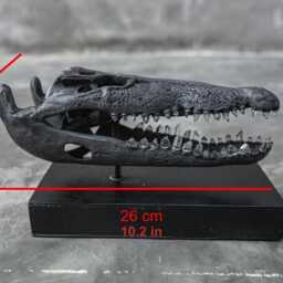 Bronze Metal Crocodile Skull With Quartz Crystal Teeth - Gothic Home Decor Art Piece Sculpture - thumbnail 4