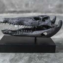 Bronze Metal Crocodile Skull With Quartz Crystal Teeth - Gothic Home Decor Art Piece Sculpture - thumbnail 2