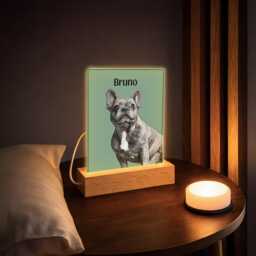 Personalised Led Acrylic Plaque Pet Photo Frame - Custom Dog & Cat Portrait - thumbnail 3