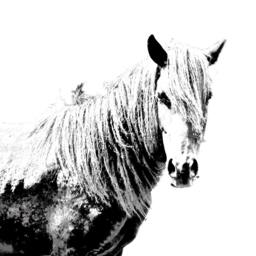 Giara Horse - Wooden Stand For Candles/Pens With The Image Of A Horse New Collection - thumbnail 2