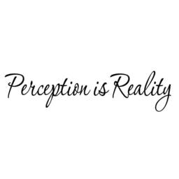 Vwaq Perception Is Reality Vinyl Wall Decals Quotes Home Art Decor & Sayings - thumbnail 2