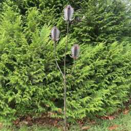 Metal Garden Rusty Steel Thistle/Teasel Spray Stake Decoration - thumbnail 3