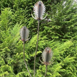 Metal Garden Rusty Steel Thistle/Teasel Spray Stake Decoration - thumbnail 2