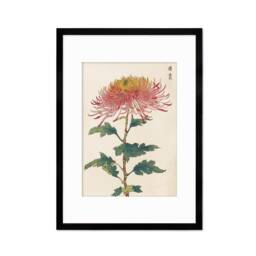 Framed Mounted Japanese Ukiyo-E Wall Art Print Poster Woodblock Keika Hasegawa Chrysanthemums Flowers Landscape Nature Beautiful Calligraphy - thumbnail 3
