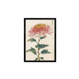 Framed Mounted Japanese Ukiyo-E Wall Art Print Poster Woodblock Keika Hasegawa Chrysanthemums Flowers Landscape Nature Beautiful Calligraphy - thumbnail 2