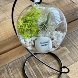 "Diy Terrarium Air Plant Kit, Glass With A Stand. " - thumbnail 2