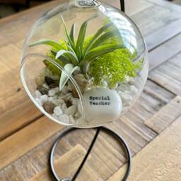 "Diy Terrarium Air Plant Kit, Glass With A Stand. " - thumbnail 3