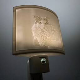Custom Night-Light - 3D Embossed Picture - Lithophane - thumbnail 3