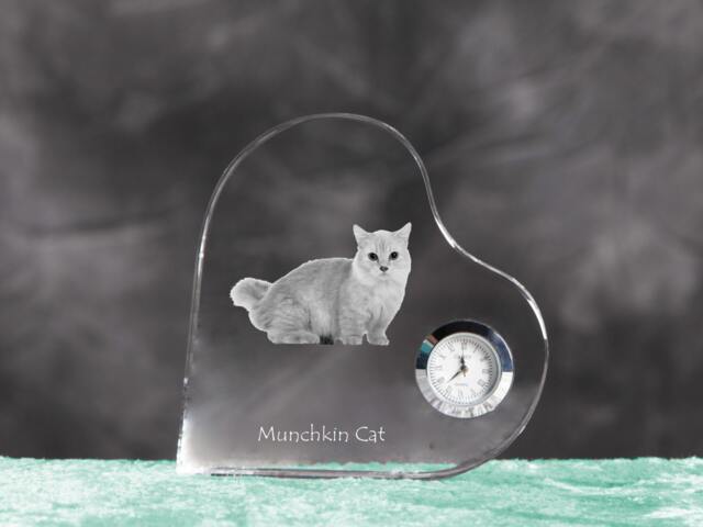 Munchkin - Crystal Clock in The Shape Of A Heart With Image Pure-Bred Cat - image 1