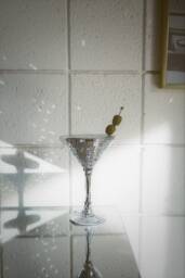 Disco Martini Glass Home Decor