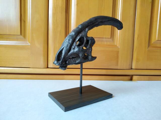 New, 23cm Parasaurolophus Skull Model/Dinosaur Fjl-Hei - image 1
