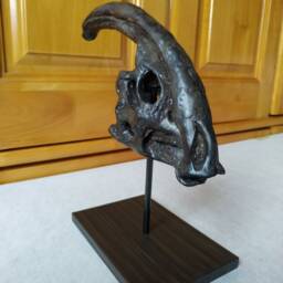 New, 23cm Parasaurolophus Skull Model/Dinosaur Fjl-Hei - thumbnail 3
