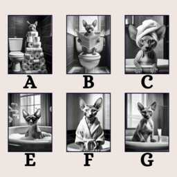Funny Sphynx Cat Bathroom Print, Toilet Wall Art, Quirky Guest Decor, Poster, Lover Gift - thumbnail 3