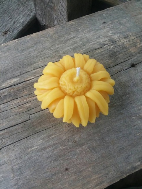Sunflower Beeswax Candle Michigan Farmhouse Decor - image 1
