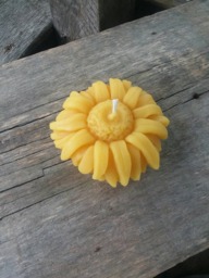 Sunflower Beeswax Candle Michigan Farmhouse Decor - thumbnail 1