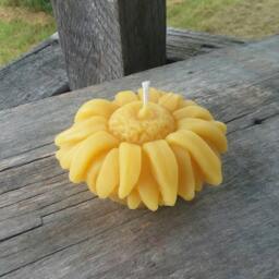 Sunflower Beeswax Candle Michigan Farmhouse Decor - thumbnail 2