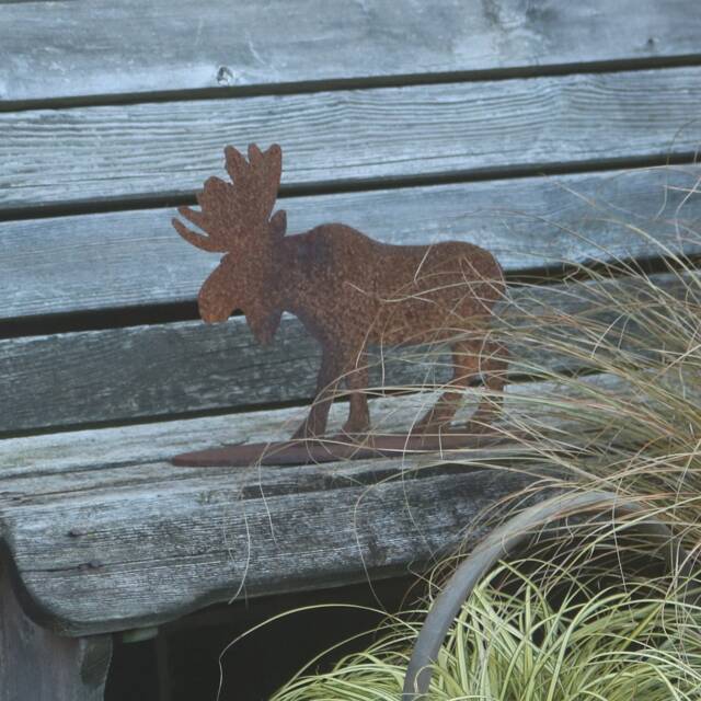 Rusty Metal Moose, Rustic Garden Decoration
