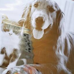 Pet Portrait, Custom Foil Print, Cat Dog Print, Wall Art, Lover Gift - thumbnail 3