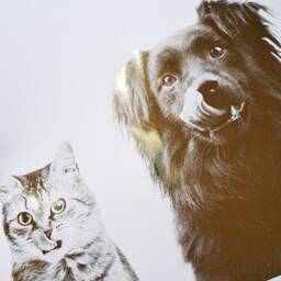Pet Portrait, Custom Foil Print, Cat Dog Print, Wall Art, Lover Gift - thumbnail 2